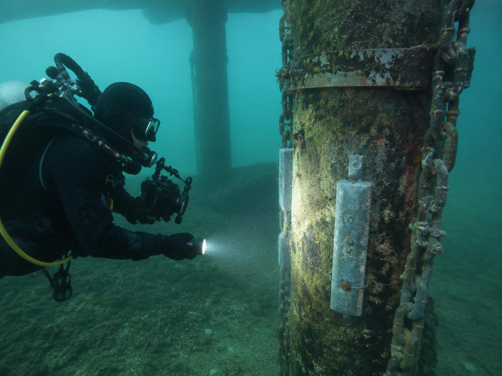 Marine facility piling inspection