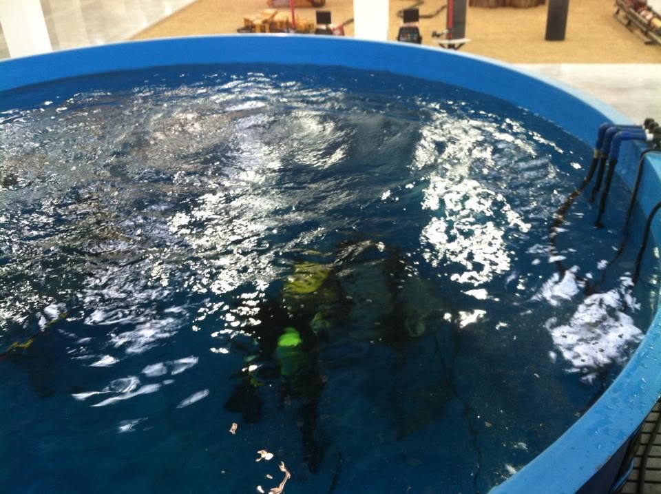 Equipment testing in dive tank